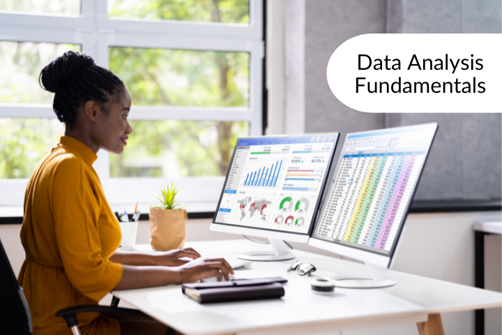 (Online Delivery) Data Analysis and Visualization with Microsoft Excel