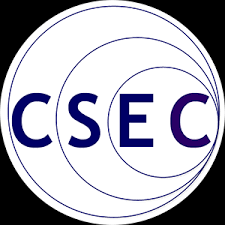 Commercial Sexual Exploitation of Children (CSEC)