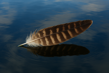 Supporting Native American Youth in Care