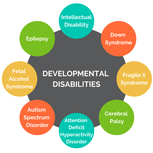 Intellectual and Developmental Disabilities in Children