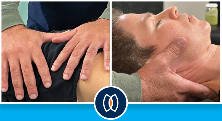 Somatic Mindfulness 1 Day - FLUIDITY w/ Fernando Rojas