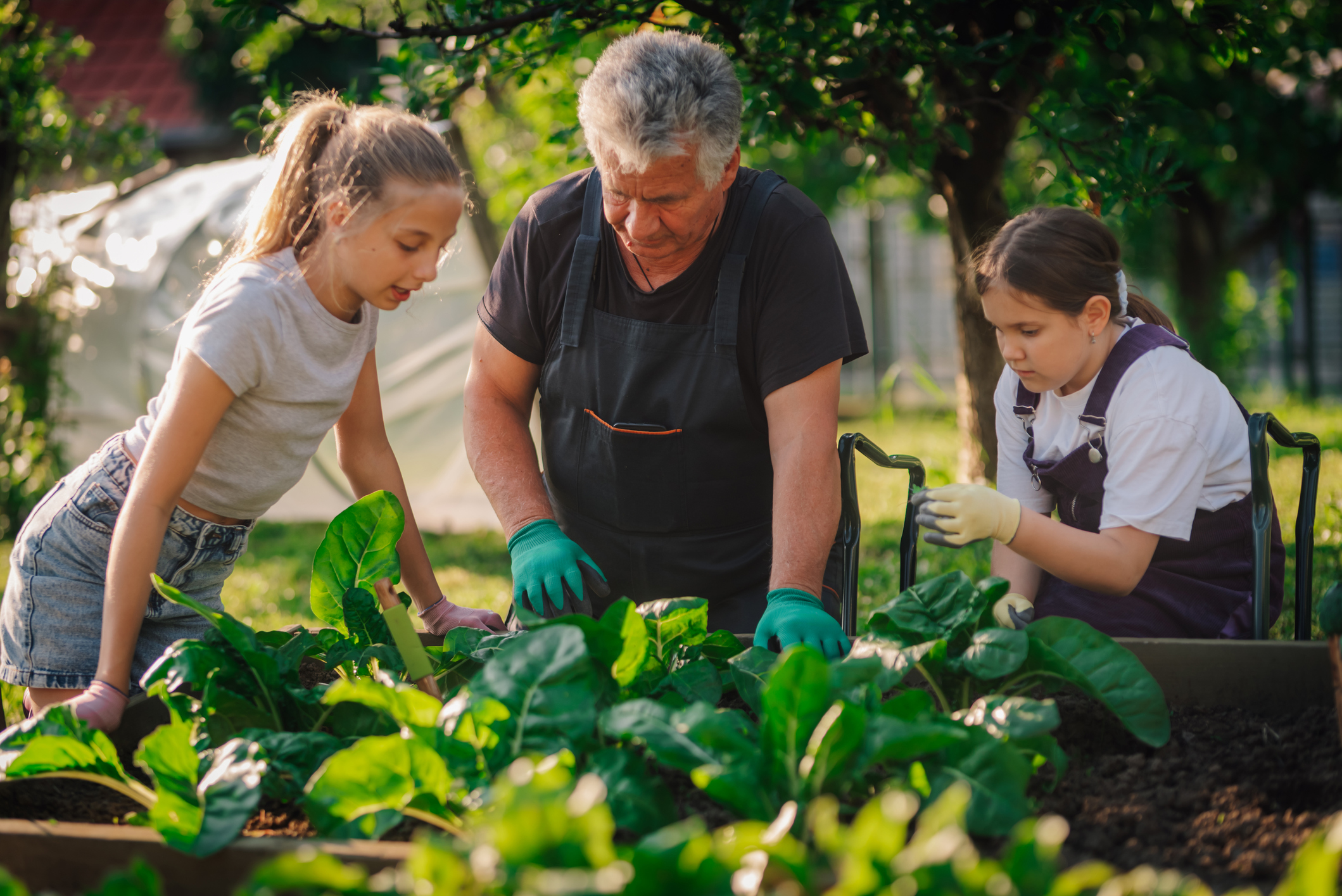 ARC Social Skills (Ages 8-11)