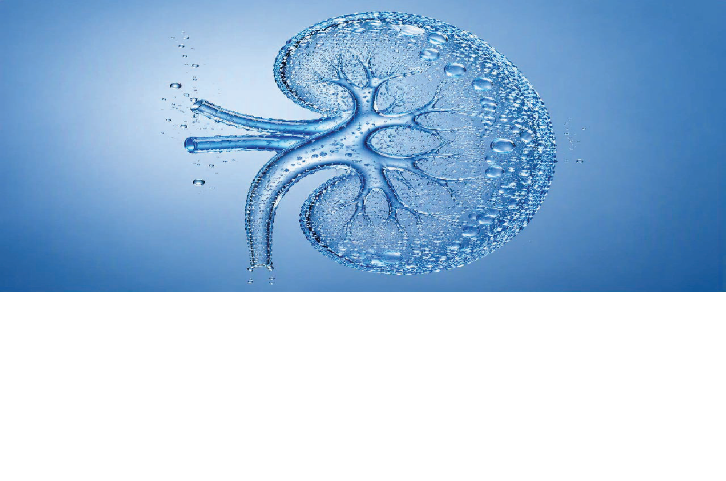 Fluid Management in Kidney Disease