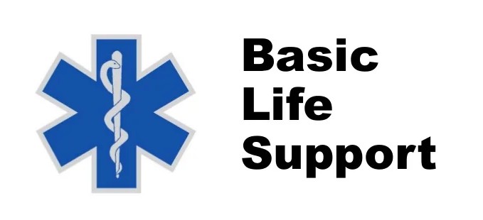 BLS Basic Life Support CPR