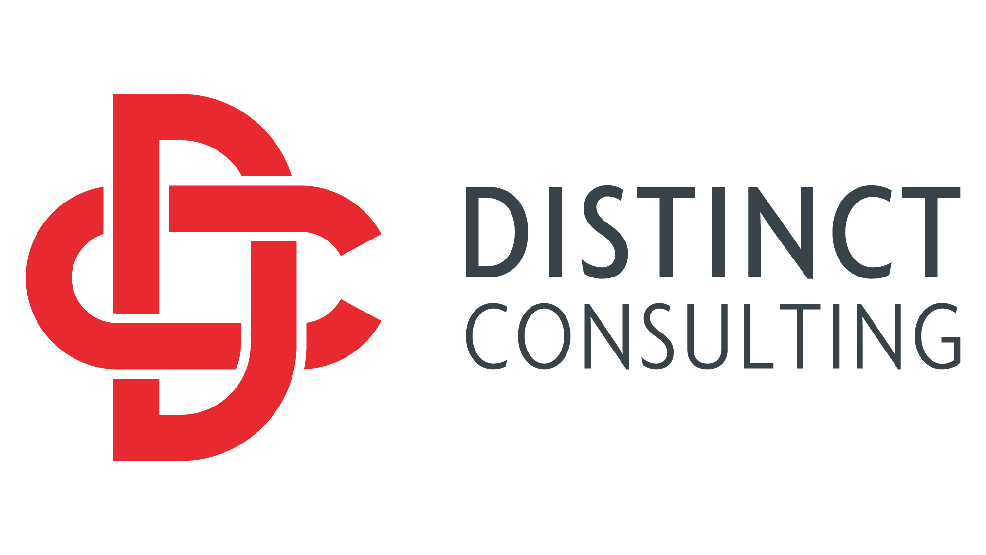 distinctconsulting.arlo.co Logo