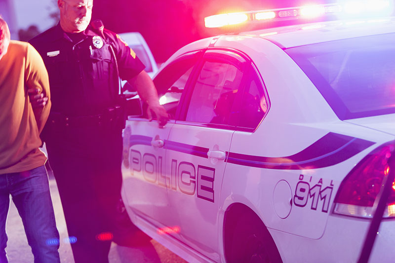 Investigating Sex Crimes
