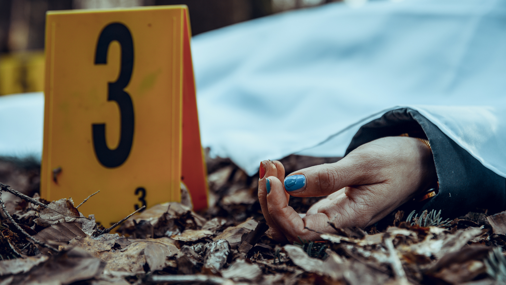 Sexually Motivated Homicide 2-Day