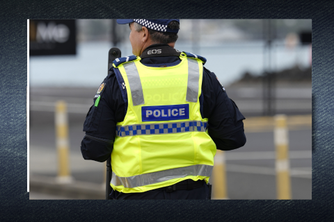Protecting the Pedestrian Officer
