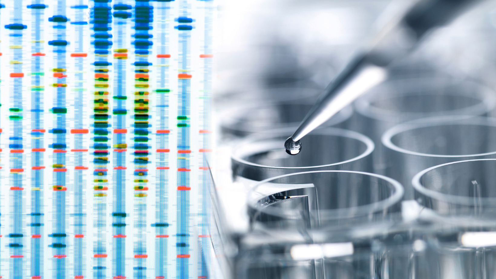 The Application of Investigative Genetic Genealogy (IGG) In Cold Cases: From DNA to Suspect Identification