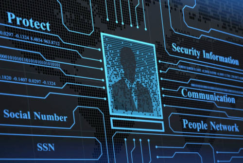 Background Investigations (Webinar)
