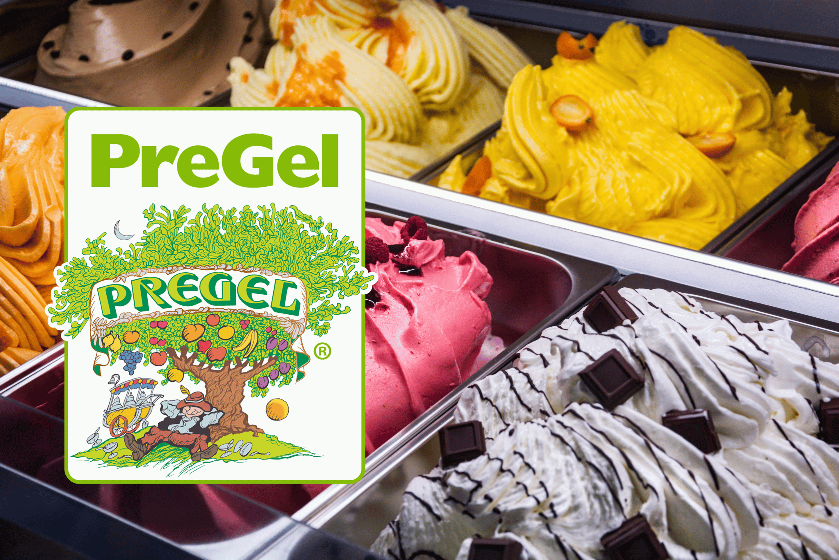 PreGel Partnership Class