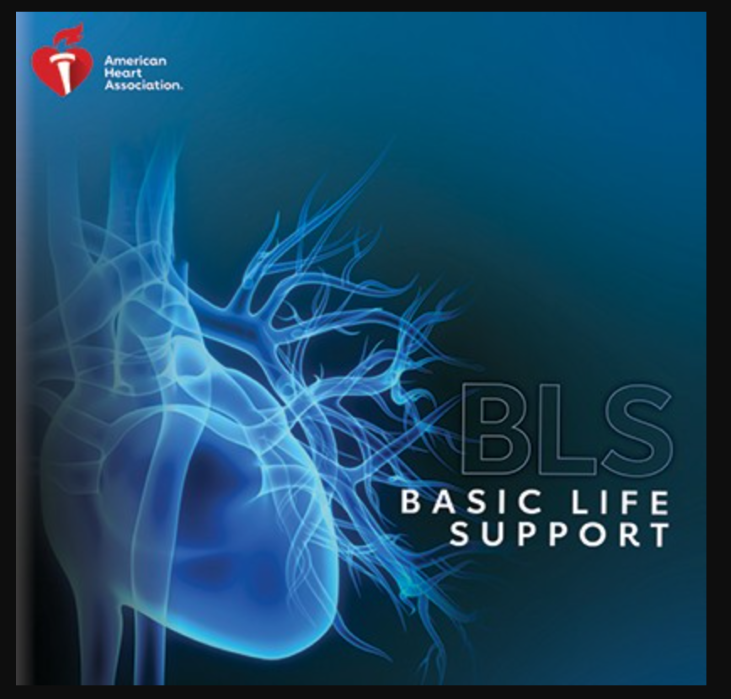 BLS (Basic Life Saver) CPR Course